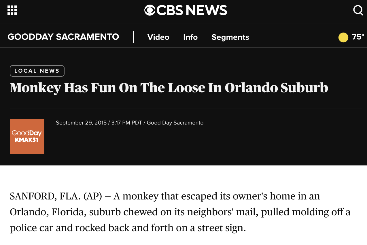 screenshot - Ocbs News Goodday Sacramento | Video Info Segments Local News Monkey Has Fun On The Loose In Orlando Suburb GoodDay Kmax Pdt Good Day Sacramento 75 Sanford, Fla. Ap A monkey that escaped its owner's home in an Orlando, Florida, suburb chewed 